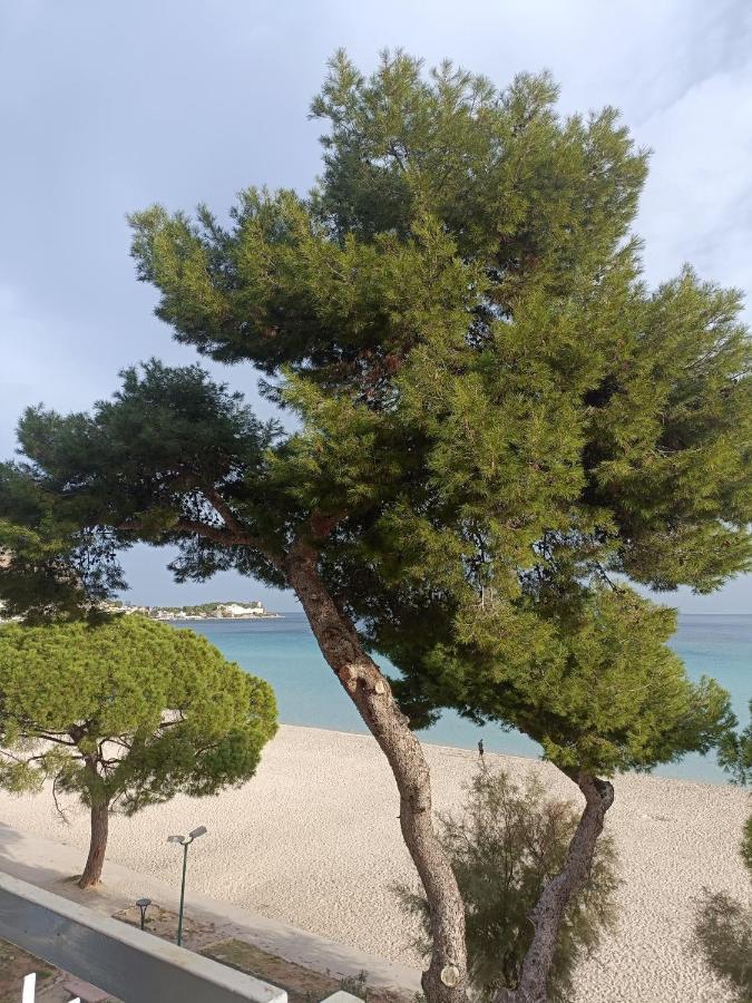 Апартаменти La Perla Sul Mare Монделло Екстер'єр фото